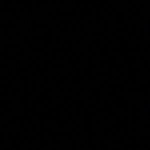 Meet your Posher, Angelina